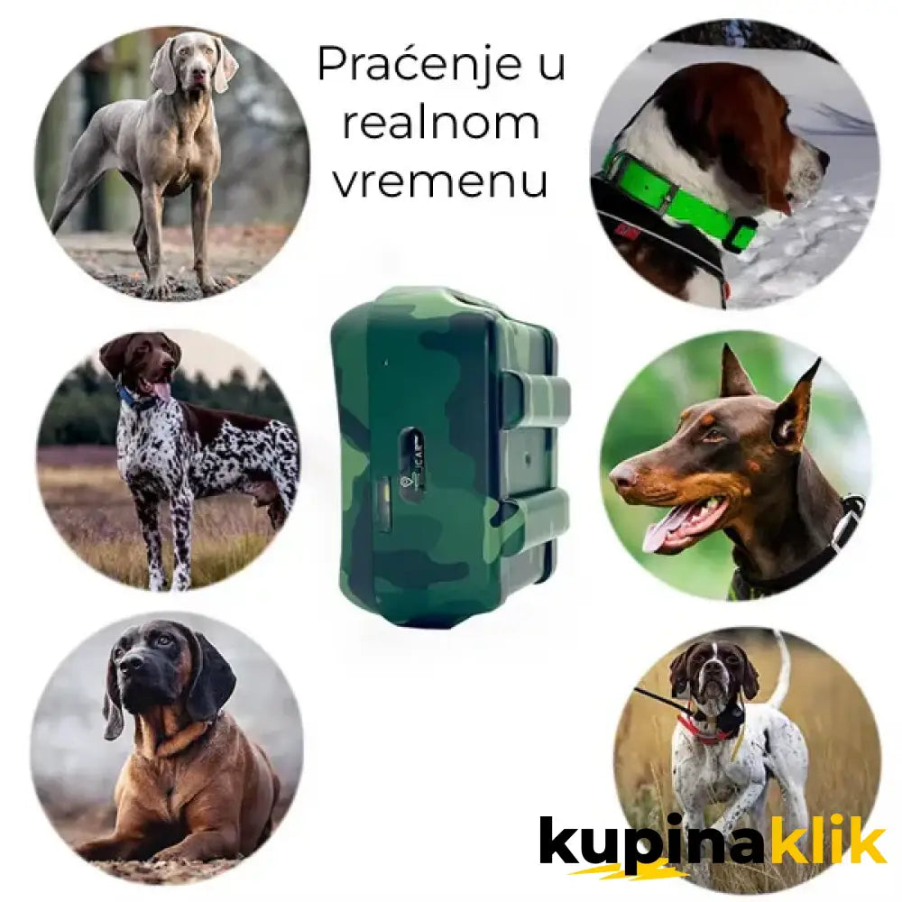 Lokator za lovačke pse - Tracker za pse IK122T 4G GPS